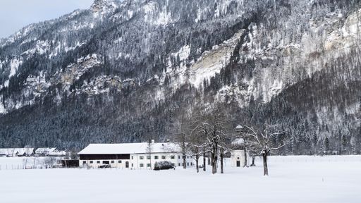 A wide shot of a white house surrounded by trees and mountains covered in snow