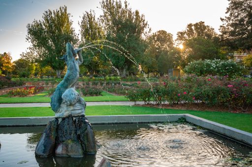 An amazing shot of a fountain with water blowing human