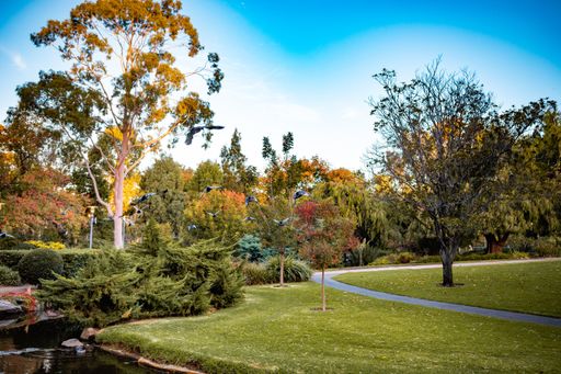 A beautiful shot of park pathway surrounded with amazing nature