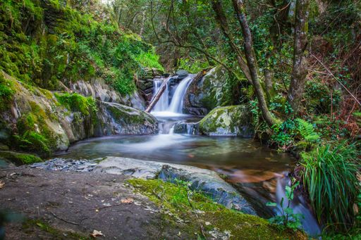 A waterfall in the woods in long exposure