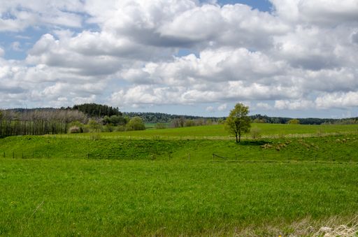 A landscape of a field covered in greenery under a cloudy sky at daytime