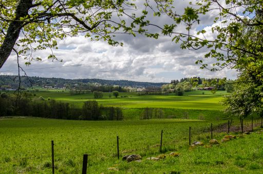 A landscape of a field covered in greenery under a cloudy sky at daytime