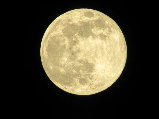 A focused shot of the full moon on the black background.