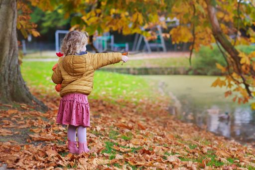 The cute little girl in the autumn park.