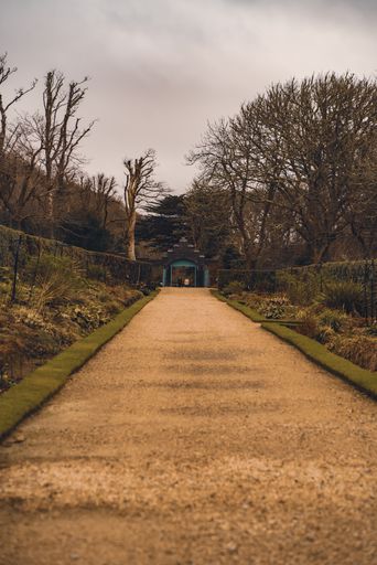 A vertical shot of a walkway leading to a gate in a park
