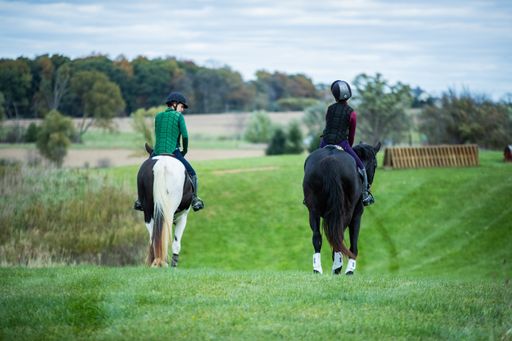 A wide selective shot of two people wearing horse riding vests riding on horses with black and white tails
