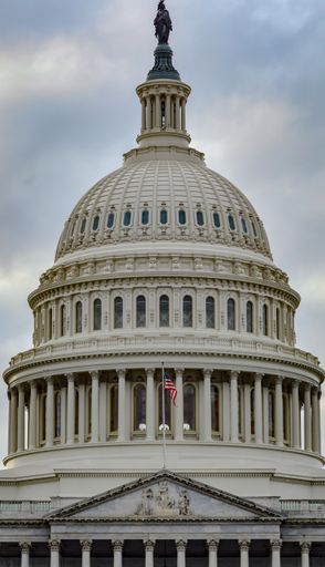 A vertical shot of the United States Capitol building in Washington, D.C.