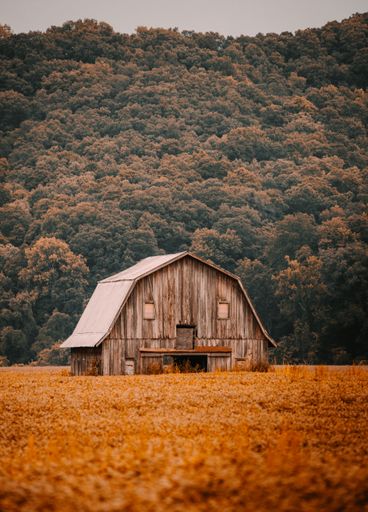 A vertical shot of a wooden barn on a farm surrounded by beautiful autumn trees