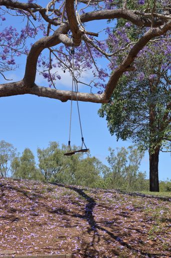 A vertical shot of an empty old swing hanging on a tree branch under a blue sky on a sunny day