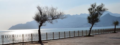 Some trees in a promenade with beautiful mountains in the background on a sunny day