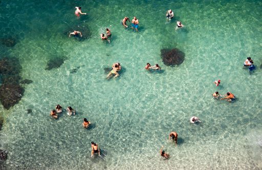 A top view of people swimming in a clear water