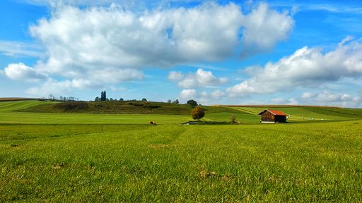 An agricultural field with a barn under a cloudy sky