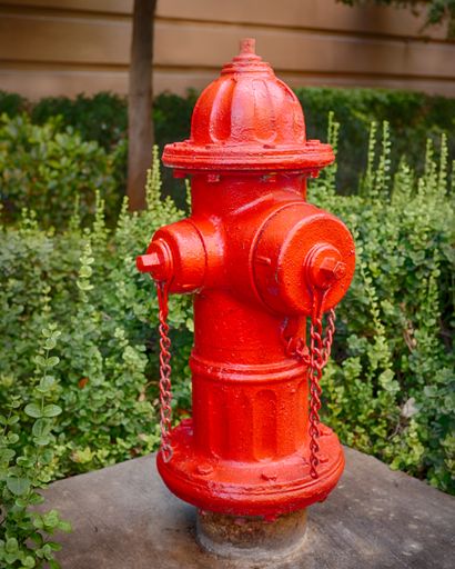 A closeup of a red fire hydrant with bushes behind