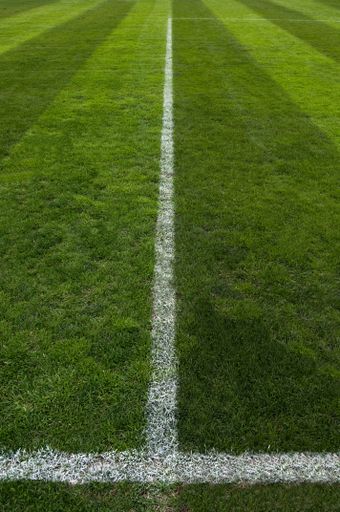 A vertical shot of a white line on a green grass of a soccer field