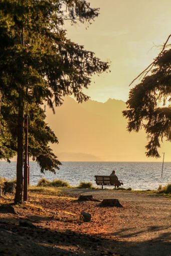 A vertical shot of person sitting on bench by the sea with mountain view and trees