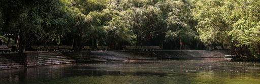 A shot of trees and stairs with a lake view in the daylight