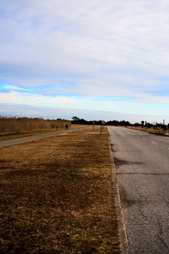 A vertical shot of a road and dry grass with trees and light cloudy sky in the background