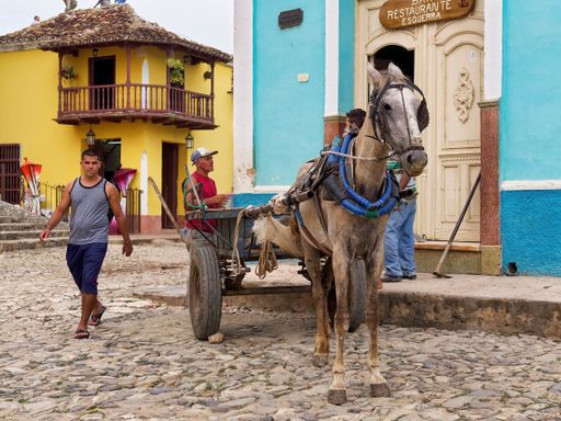 A brown skinny horse with a carriage on a cobblestone near people and houses