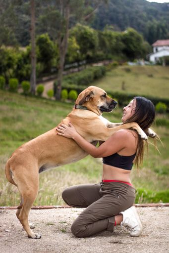 A beautiful Hispanic female with her dog enjoying time in the field