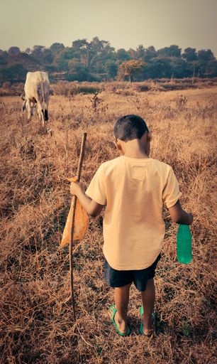A vertical shot of a South Asian child walking in the farm