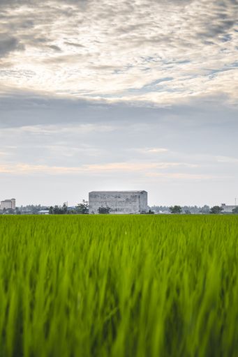 A vertical shot of a green field under the cloudy skies during the day
