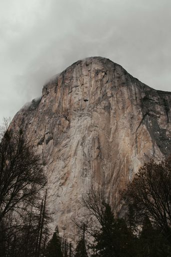 A vertical shot of a rocky cliff surrounded by trees under dark clouds