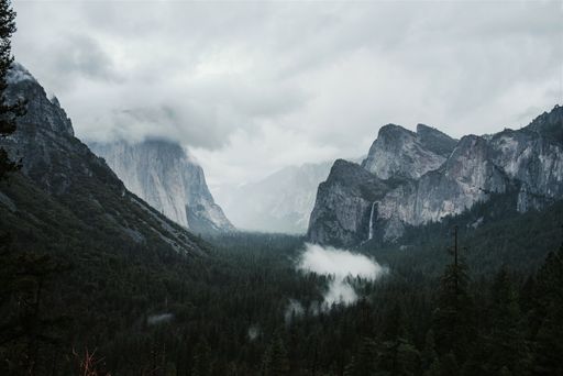 A beautiful scenery of green fir trees surrounded by high rocky mountains