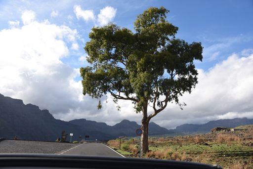 A beautiful view of the road with a green tree against the background of hills and cloudy sky