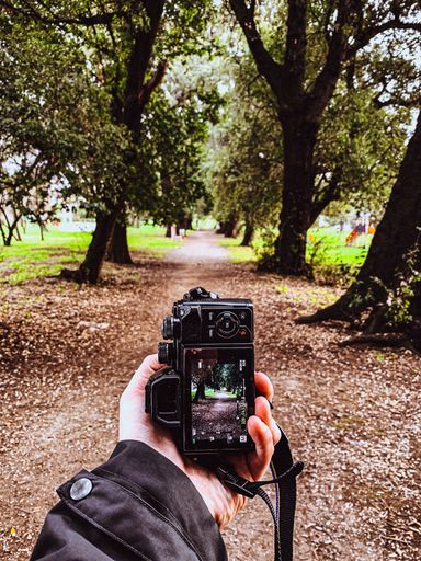 A vertical closeup of a human hand holding a black camera on a beautiful pathway background