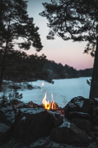 A vertical beautiful shot of a small bonfire in a forest with a beautiful view blurred in the background