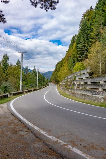 A vertical shot of an empty road stretching out into the distance with trees on both sides