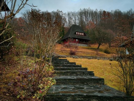 A beautiful autumn day in the countryside with a small hut surrounded by lush greenery