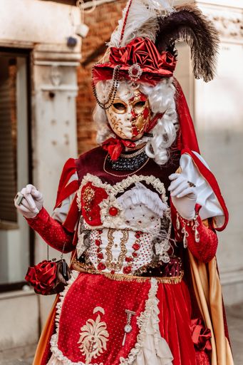 A photo of a person wearing a costume in a carnival in Venice, Italy before Covid-19