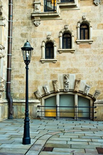 A vertical photo of a street lamp in front of townhall in Hamburg