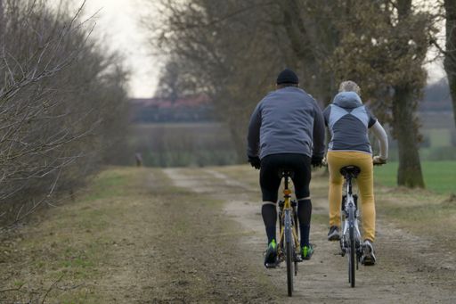 A photo of a couple from behind riding a bicycle in a park in the morning