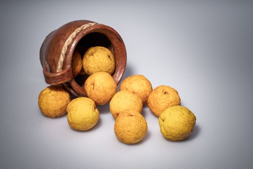A shot of quince fruits falling from a clay vase on a light grey background