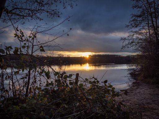 A mesmerizing scene of trees and Kaarster See Lake in German with an orange sunset cloudy sky