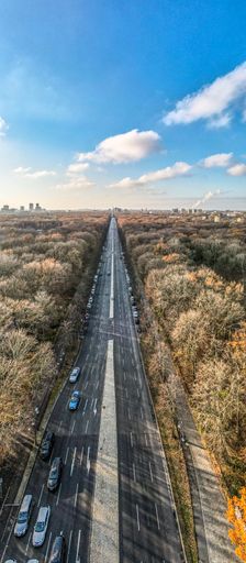 A vertical panoramic top shot of a long highway surrounded by autumn trees in Berlin.