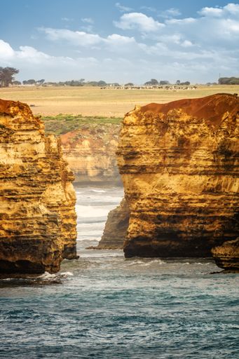 A vertical shot of the rough coast at the Great Ocean Road in Australia during daylight