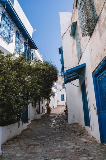 A vertical shot of the beautiful narrow street with old small houses in Sidi Bou Said in Tunisia