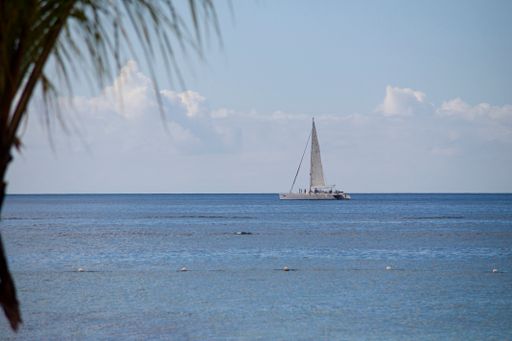 BAYAHIBE, DOMINICAN REPUBLIC 13 DECEMBER 2019: Sailboats on Bayahibe sea