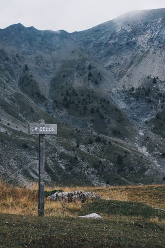 A vertical shot of a wooden sign on a dry grassy field with a mountain in the background