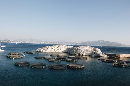 A beautiful shot of a sea with floating net cages near a rock and mountains in the distance under a clear sky