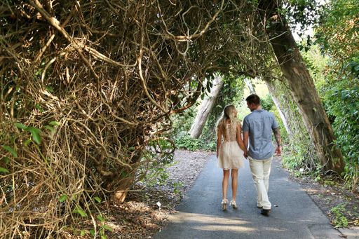 A back view of a young couple holding hands and walking in a park