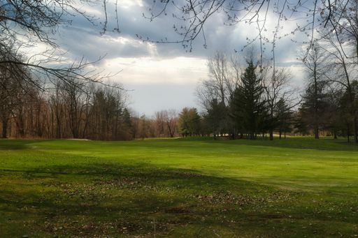 A beautiful view of the trees in the grass field on a cloudy day