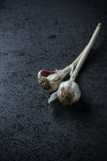 The two heads of fresh garlic on a black table