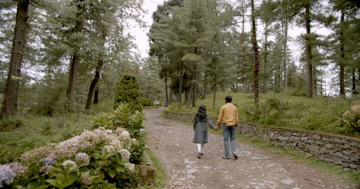 A shallow focus of a lovely South Asian young adult couple holding hands and walking in a park