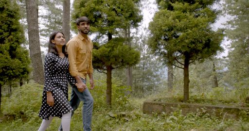 A shallow focus of a lovely South Asian young adult couple holding hands and walking in a park