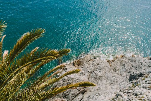 A breathtaking aerial view of a rocky cliff overlooking a crystal-clear turquoise sea, framed by lush palm leaves.