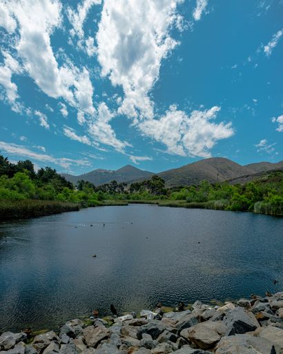 A vertical shot of a lake with birds swimming in it surrounded by mountains